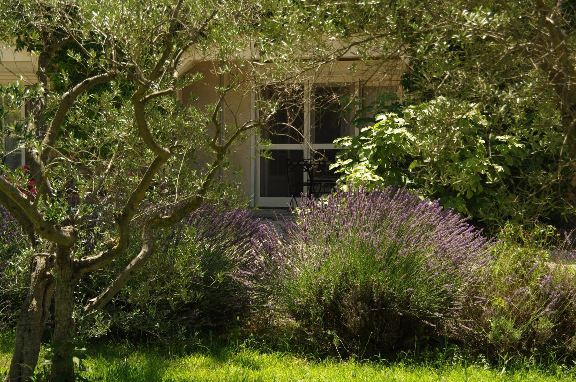 Residence Le Saint Victor Fontvieille Exterior foto